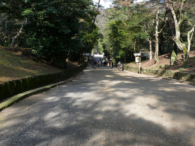 出雲大社参道 Sando of Izumo Oyashiro