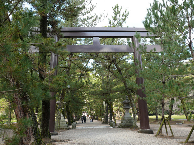 出雲大社参道 Sando of Izumo Oyashiro